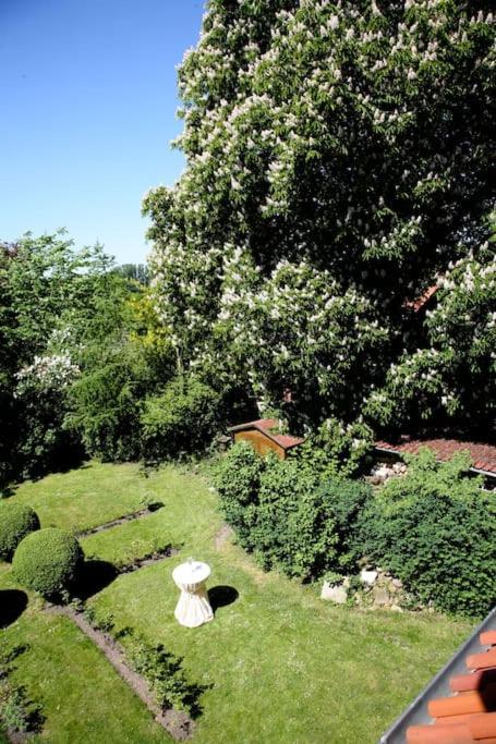 Haus Keppelborg: Zi Ferdinand Mit Rosengartenblick